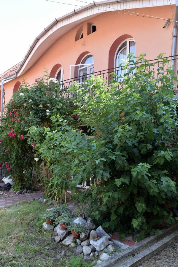 Valiapart Oradea Exterior foto
